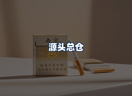 专业团队办公环境